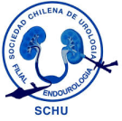 Filial Endourología - Sociedad Chilena de Urología - SCHU